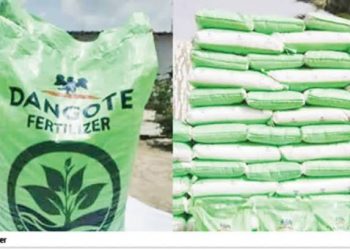 Dangote Launches $2.5 Billion Fertiliser Plant in Ethiopia to Boost Agriculture and Jobs