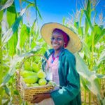 FRIN, NOAN Partner to Empower Youths through Sustainable Farming FRIN, NOAN Partner to Empower Youths through Sustainable Farming