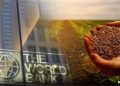 World Bank Unveils $14 Billion AgriConnect Initiative to Boost Global Agribusiness and Job Creation by 2030