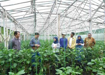 British Council Launches Climate Skills Global Collaboration Grants 2025 — £85,000 for Joint Green Entrepreneurship Projects