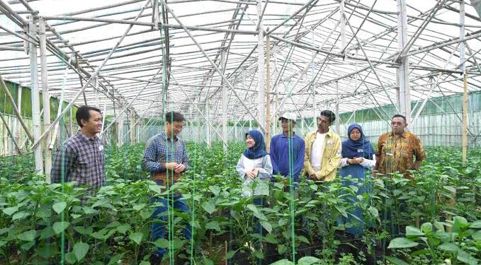 British Council Launches Climate Skills Global Collaboration Grants 2025 — £85,000 for Joint Green Entrepreneurship Projects