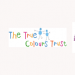 True Colours Trust Africa Small Grants Program