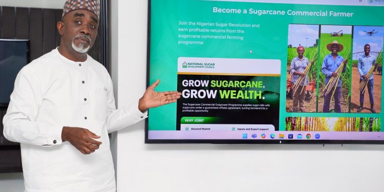 NSDC Launches Sugarcane Outgrower Programme to Boost Local Sugar Production