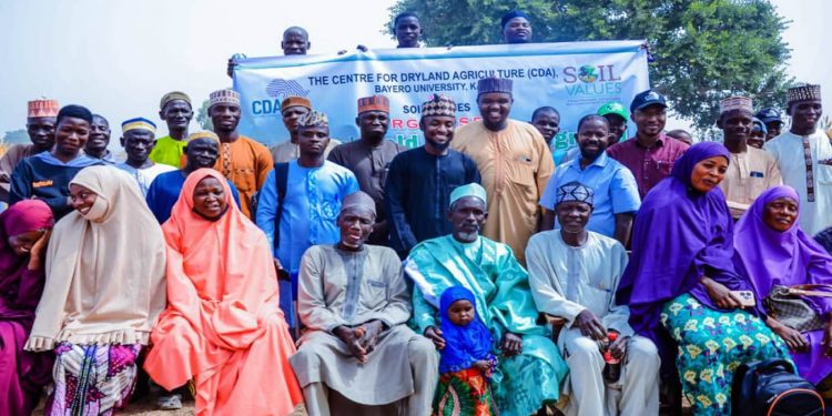 Soil Training Boosts Cowpea Yields as Farmers Adopt New Fertility Methods in Kano, Jigawa
