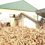 NADF and Psaltry Launch Financing Program to Empower 12,000 Women in Cassava Farming