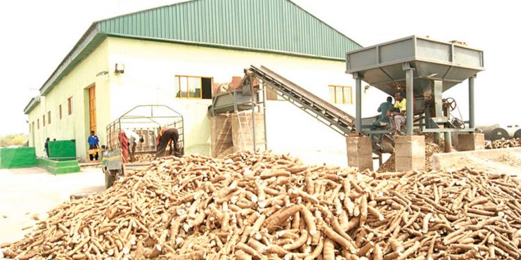 NADF and Psaltry Launch Financing Program to Empower 12,000 Women in Cassava Farming