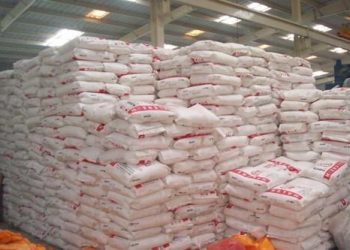 C’River LGA Launches Farmer Support Scheme, Distributes 1,000 Fertilizer Bags to Boost Food Production
