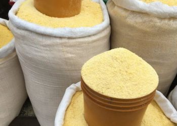 Cassava Glut Pushes Garri Prices Down by Over 50 Percent Across Nigeria