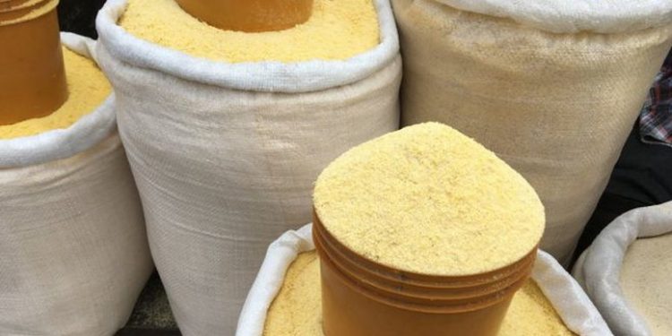 Cassava Glut Pushes Garri Prices Down by Over 50 Percent Across Nigeria