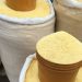 Cassava Glut Pushes Garri Prices Down by Over 50 Percent Across Nigeria