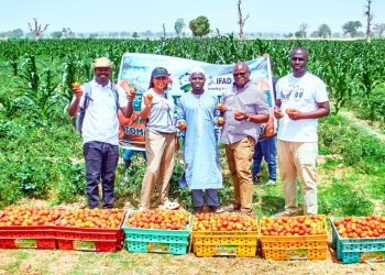 YOD UNESCO Launches Project D-100 to Digitally Empower 100 Schools and SMEs Across Africa