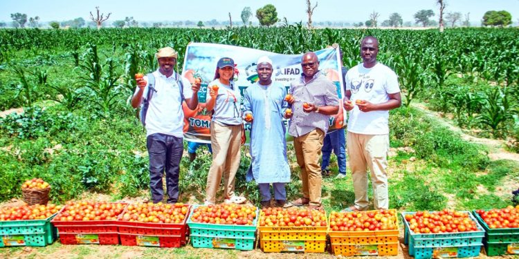 YOD UNESCO Launches Project D-100 to Digitally Empower 100 Schools and SMEs Across Africa