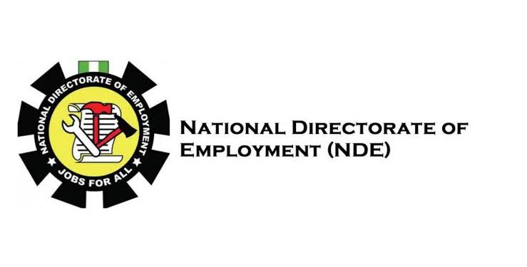 NDE Trains 253 Ekiti Youths on Entrepreneurship and Business Management