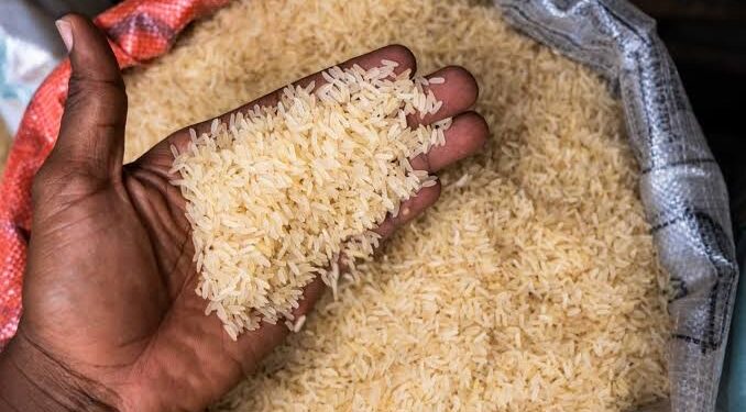 Afreximbank Projects Africa’s Rice Market to Hit $29.2 Billion by 2030 Amid Rising Demand