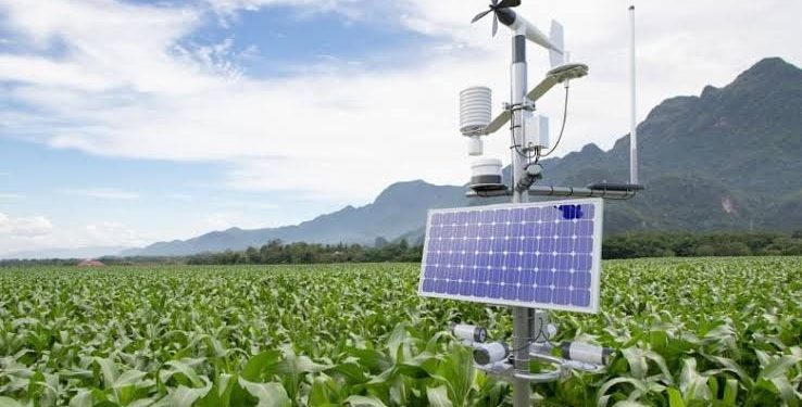 Over 14,000 Bauchi Farmers to Benefit from New Climate Resilience Initiative