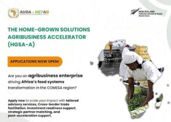 Call for Applications: AUDA-NEPAD Home-Grown Solutions Agribusiness Accelerator Program 2026