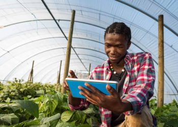 Africa Future Farmers Equips Over 1,500 Young Innovators with Digital, Creative Skills