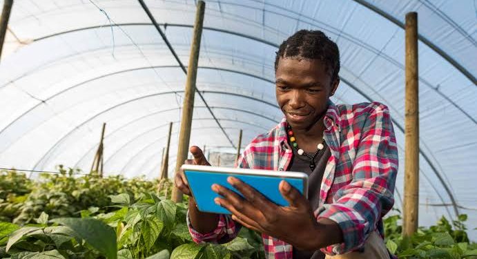 Africa Future Farmers Equips Over 1,500 Young Innovators with Digital, Creative Skills