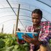 Africa Future Farmers Equips Over 1,500 Young Innovators with Digital, Creative Skills