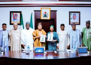 Nigeria Targets $3 Billion Annually in Climate Finance to Drive Green Investments