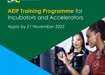 Call For Applications: Africa-Europe Innovation Platform (AEIP) Online Training Program for Incubators and Accelerators