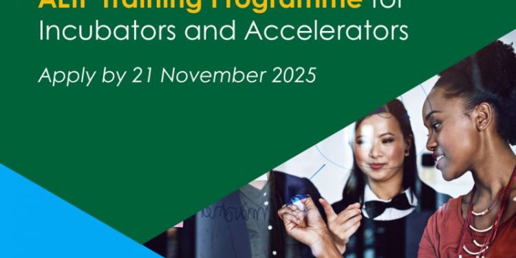 Call For Applications: Africa-Europe Innovation Platform (AEIP) Online Training Program for Incubators and Accelerators