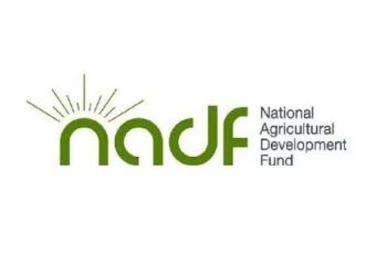 Ojokoro LCDA Launches N100 Million Empowerment Scheme for Residents