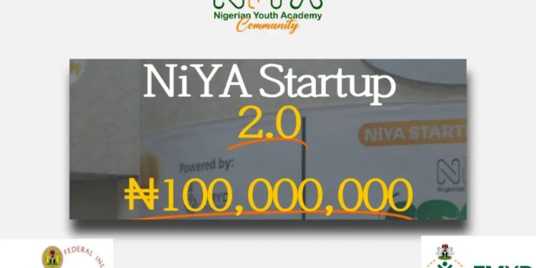 Call For Applications:  NiYA Startup Pitch 2.0 (Up To ₦100 Million in Funding) 