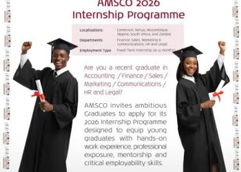 Call For Applications: CCAC Challenge Program Accelerating Uptake of eCooking in Africa