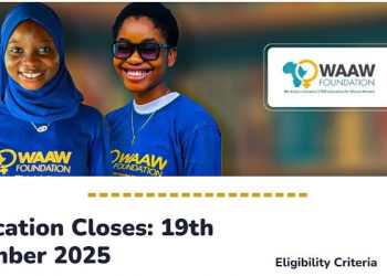 Call For Applications: WAAW Foundation 2025 Scholarship for African Women in STEM  ($500 Grant and Mentorship Opportunity)