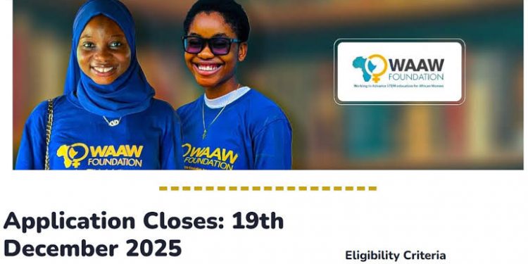 Call For Applications: WAAW Foundation 2025 Scholarship for African Women in STEM ($500 Grant and Mentorship Opportunity)