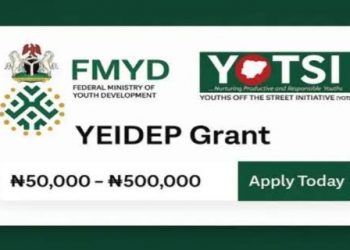 FG YEIDEP ₦500K Grant 2025 Batch B: Everything You Need to Know and How to Apply