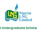 Call For Applications: NLNG Undergraduate Scholarship Award 2025 for Young Nigerian StudentsCall For Applications: NLNG Undergraduate Scholarship Award 2025 for Young Nigerian Students