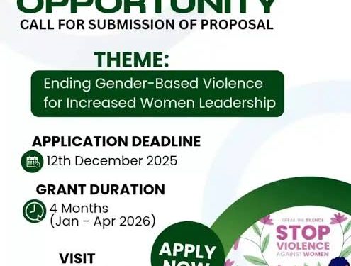 Call For Applications: NWTF 2026 Grant For Women-Led Projects in Africa