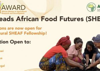 Call For Applications: IsDB Scholarships 2026 (Fully Funded for African Students)