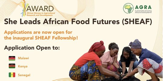 Call For Applications: IsDB Scholarships 2026 (Fully Funded for African Students)