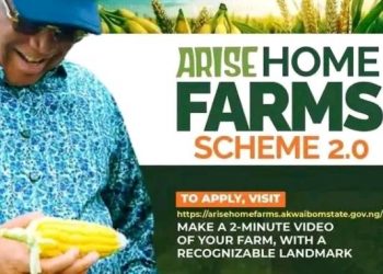 Call For Applications: Arise Home Garden Scheme 2.0 (Up to N500,000 Grant for Home-Garden & Agribusiness)