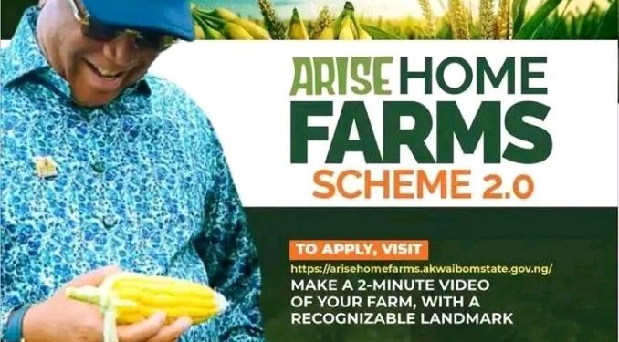 Call For Applications: Arise Home Garden Scheme 2.0 (Up to N500,000 Grant for Home-Garden & Agribusiness)