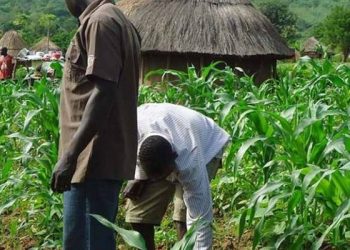 First Lady Empowers Widows and Vulnerable Nigerians with Food Items Across 16 Local Government Areas in Kwara State
