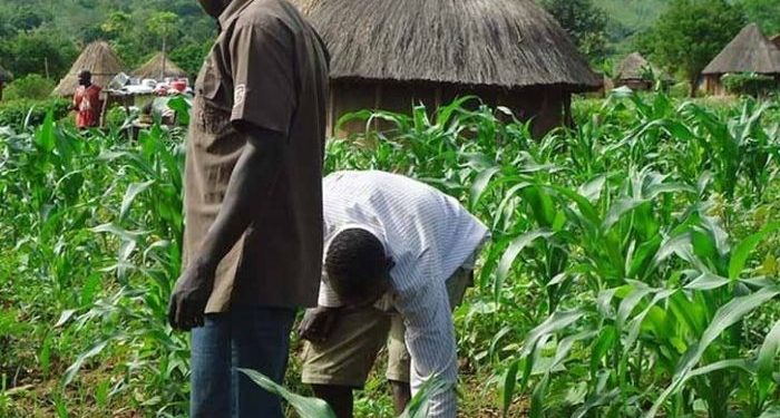 First Lady Empowers Widows and Vulnerable Nigerians with Food Items Across 16 Local Government Areas in Kwara State