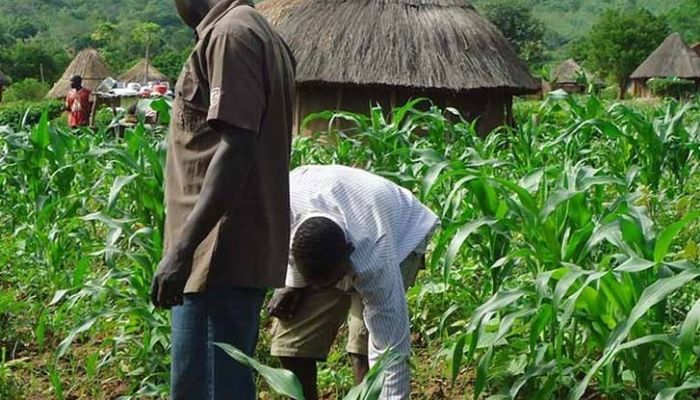 First Lady Empowers Widows and Vulnerable Nigerians with Food Items Across 16 Local Government Areas in Kwara State