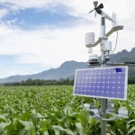 Foundation Launches N4bn Program to Empower 14,000 Smallholder Farmers in Bauchi