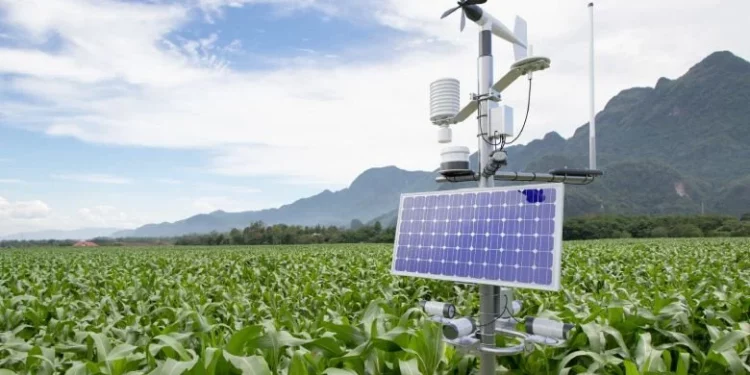 Foundation Launches N4bn Program to Empower 14,000 Smallholder Farmers in Bauchi