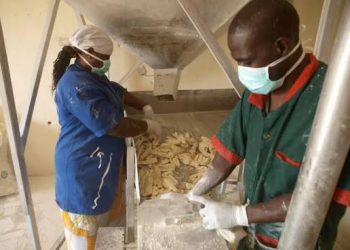 Nigeria Scales Up Local Agro-Processing Capacity as Food Equipment Fabricators Complete Skills Training