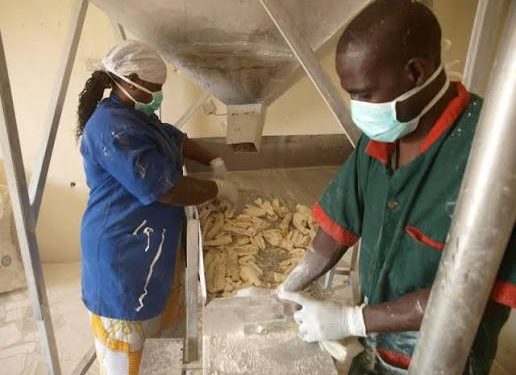 Nigeria Scales Up Local Agro-Processing Capacity as Food Equipment Fabricators Complete Skills Training