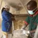Nigeria Scales Up Local Agro-Processing Capacity as Food Equipment Fabricators Complete Skills Training