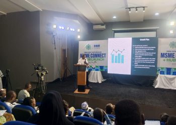 Development Bank of Nigeria Funds 260,000 Youth-led MSMEs with N151bn, Launches Innovation Hub in Kaduna