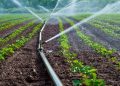 Nigeria Expands Irrigation to Boost Farming, Food Security, Rural Livelihoods