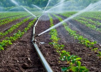 Nigeria Expands Irrigation to Boost Farming, Food Security, Rural Livelihoods