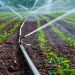 Nigeria Expands Irrigation to Boost Farming, Food Security, Rural Livelihoods